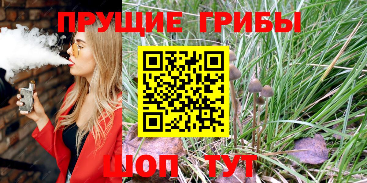 Псилоцибиновые грибы Psilocybe Гай
